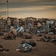 Valerie Prudon, France - Rodeo, Winner of the open competition - arts and culture category
