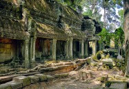 Angkor, Ta Prohm Temple
