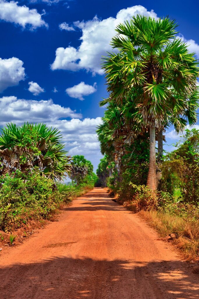 countryside roads, Kampot