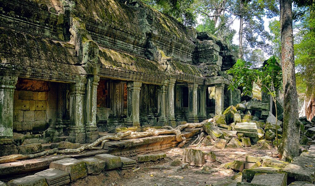 Ta Prohm Temple, Angkor